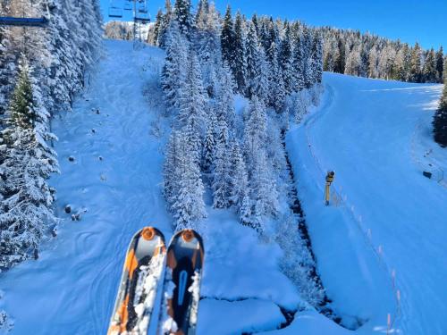 a pair of skis in the snow next to trees at 4 Season Apartment Hermagor in Hermagor