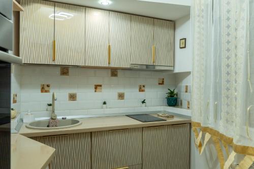 Apartament Lucasにあるキッチンまたは簡易キッチン