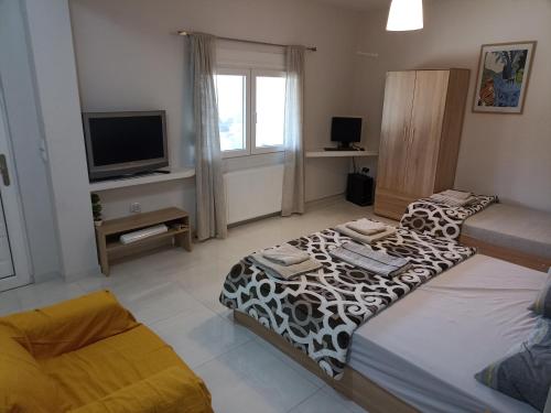 a living room with two beds and a television at Kilkis Paradise in Kilkis