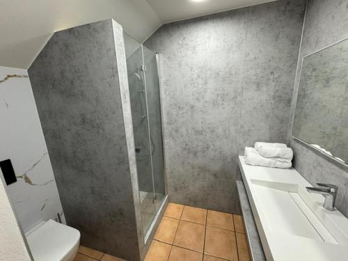 ein Bad mit einer Dusche, einem WC und einem Waschbecken in der Unterkunft Studio Bruni Lodge in Sainte-Anne
