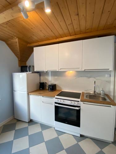 Kuchyň nebo kuchyňský kout v ubytování Beskidzka Apartments