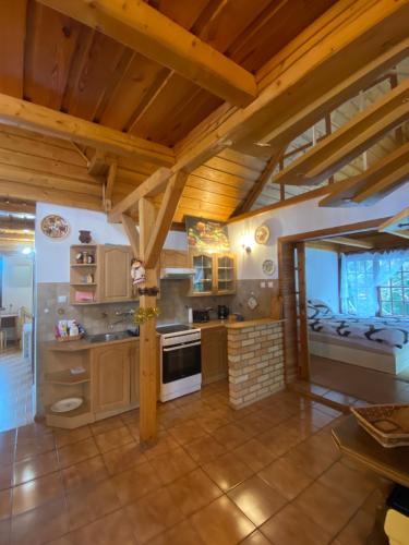 Kuchyň nebo kuchyňský kout v ubytování Beskidzka Apartments