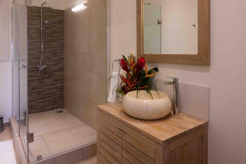 a bathroom with a shower and a vase with a plant at Hacienda Plaza Boutique Hotel in Pereybere