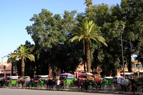 Montar en bicicleta en Riad Dar Alfarah o alrededores