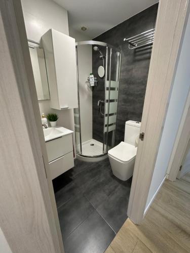 La salle de bains est pourvue d'une douche, de toilettes et d'un lavabo. dans l'établissement Duplex Casa da barbeira, à Cangas