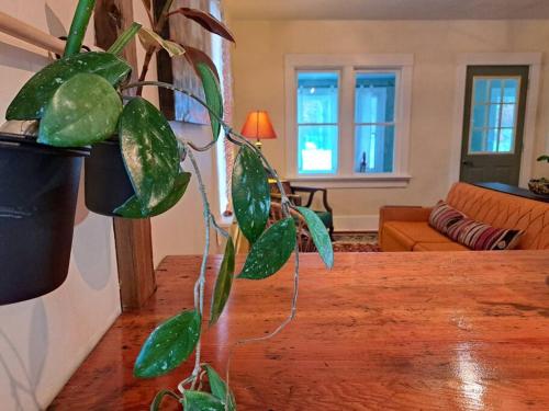 Blue Dog Accommodations – Photos 5