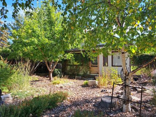 Blue Dog Accommodations – Photos 4