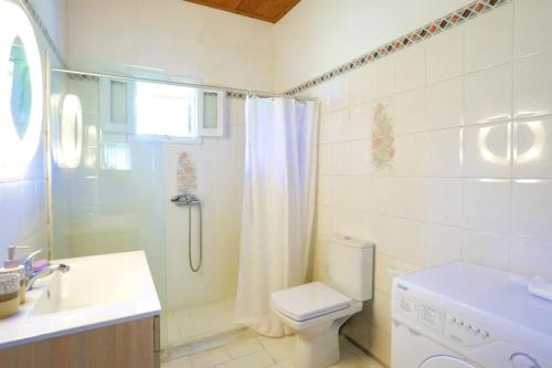 a bathroom with a shower and a toilet and a sink at Villa Serenita in Agios Georgios
