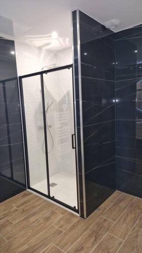 une douche avec une porte vitrée dans une salle de bain dans l'établissement Spa des ducs loft 2, à Bar-le-Duc