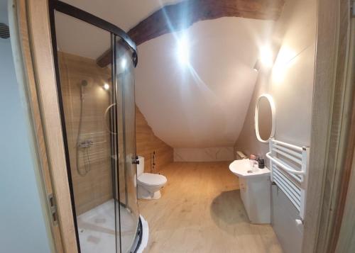 uma casa de banho com um chuveiro e um WC. em Agroturystyka noclegi podlesie em Gorlice