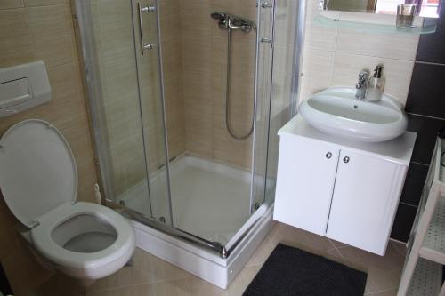 a bathroom with a shower and a toilet and a sink at Apartman Božić in Šišava
