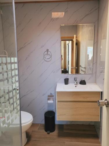 a bathroom with a sink and a mirror at Arriendo diario Futrono in Futrono