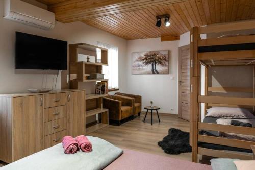 een kamer met een slaapkamer met een stapelbed en een televisie bij Chata Rodinka in Vinné