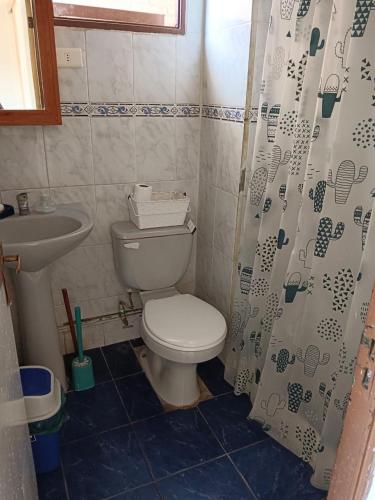 uma pequena casa de banho com WC e lavatório em Departamento pucarani em Arica