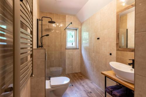 a bathroom with a toilet and a sink at Nasze Górskie in Wojcieszyce