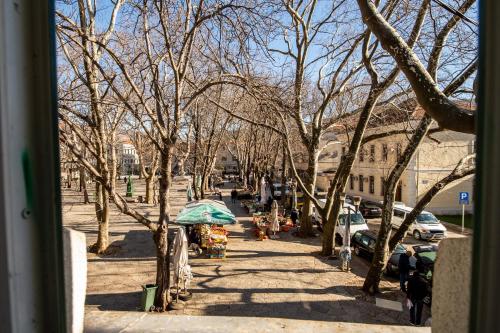 a tree lined sidewalk with an umbrella in a city at Kula Centar in Trebinje