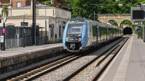 Photo de la galerie de l'établissement Grand Appartement proche Paris, à Sèvres