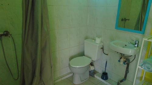 un baño con inodoro y lavabo en Caribgites, en Sainte-Anne