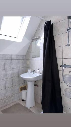 une salle de bain avec un lavabo et un rideau de douche dans l'établissement Agréable maison / centre historique Auxerre, à Auxerre
