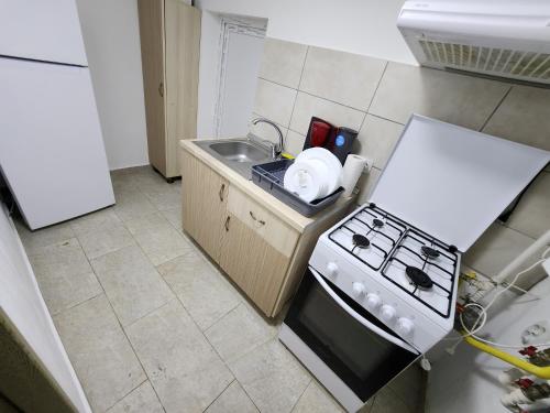 a small kitchen with a stove and a sink at Dream House Caransebeș in Caransebeş