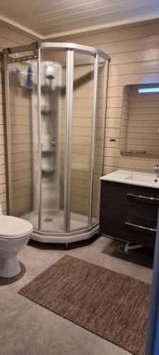a bathroom with a shower and a toilet and a sink at Hele utleiebolig Årøybuktneset in Lyngseidet