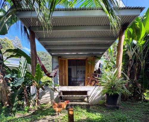 a house with chickens standing in front of it at Casa Salvaje Vacation Rentals in Bocas del Toro