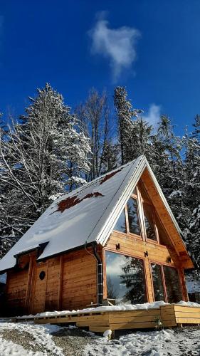 a log cabin with snow on the roof at Zaovinska idila in Bjeluša