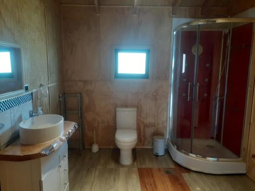 a bathroom with a toilet and a shower and a sink at La Lomita Guadal in Puerto Guadal