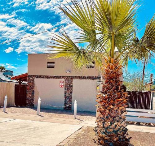 una palma davanti a un edificio di Quaint Historic Cottage in Downtown Phoenix a Phoenix
