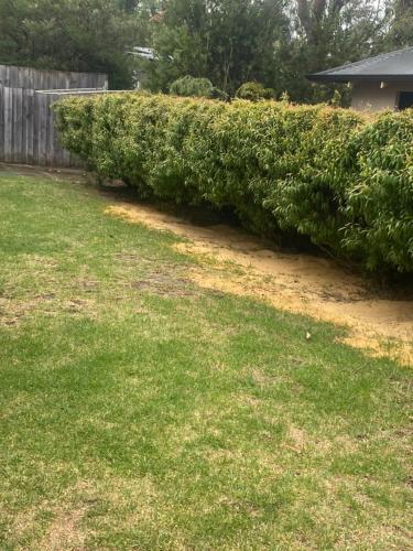 a row of bushes in a yard at Hook Wine & Sinker in Dunsborough