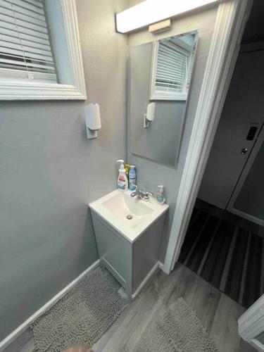 a bathroom with a sink and a mirror at Cozy and affordable suite (near Rutgers, smartTV) in New Brunswick