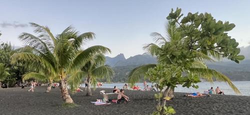a group of people on a beach with palm trees at La maison près du Phare in Mahina