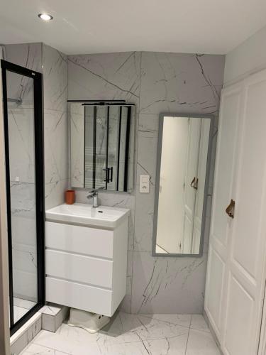 une salle de bain blanche avec un lavabo et un miroir dans l'établissement Cap Estérel FH007 JARDIN PRIVATIF ET CLÔTURÉ ,vue Mer,piscines , parking couvert,COUP DE CŒUR, à Saint-Raphaël