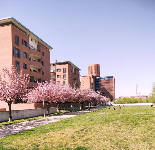 Une rangée d'arbres avec des fleurs roses dans un parc dans l'établissement Appartamento con terrazzo privato Milano San Raffaele Linea verde, à Vimodrone