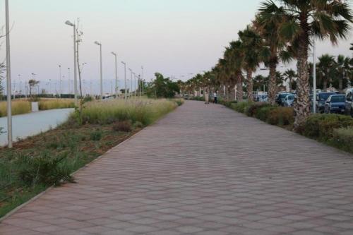 a brick sidewalk with palm trees and a parking lot at Luxury Apartment Nador Jadid Only Family in Nador