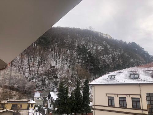 a view of a mountain with trees on it at Sub Cetate in Râşnov