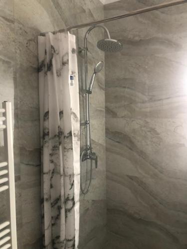 y baño con ducha y cortina de ducha. en Sub Cetate en Rîşnov