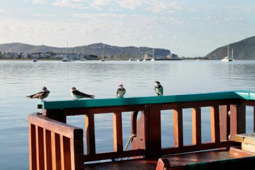 Knysna Houseboat Myrtle
