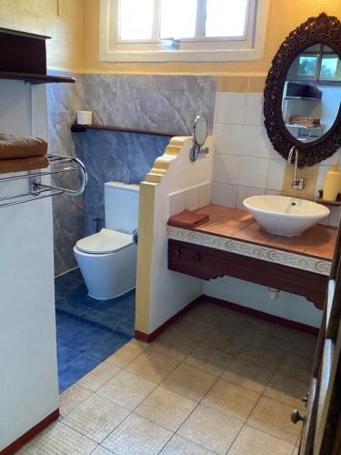 a bathroom with a sink and a toilet at La Reine Creole in La Gaulette