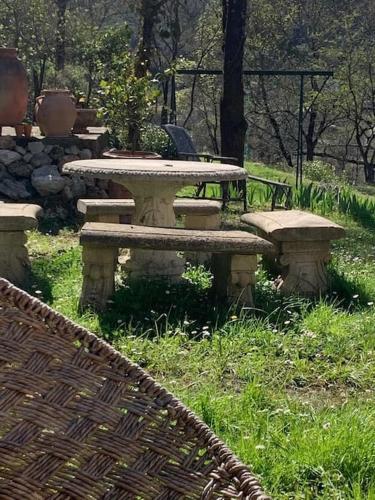 a picnic table with a potted plant on it at Magnifique Mas Cevenol in Anduze