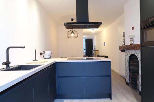 a kitchen with blue cabinets and a fireplace at sfeervol monumentaal pand in Maastricht