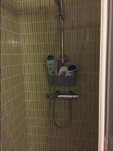 a shower with a shower head in a green bathroom at Cielo Azul in Campoamor