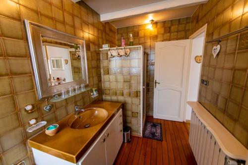 a bathroom with a sink and a mirror at GITE HISTOIRE DE FAMILLE in Aubagne