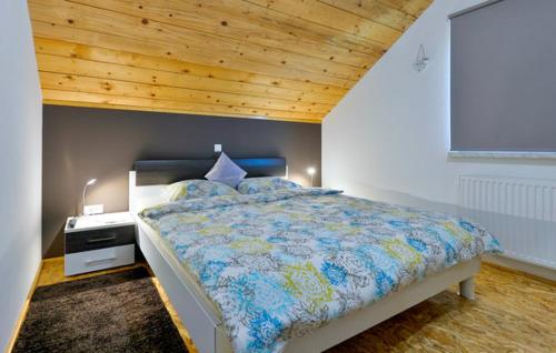 a bedroom with a large bed with a wooden ceiling at Visija in Sveti Martin na Muri