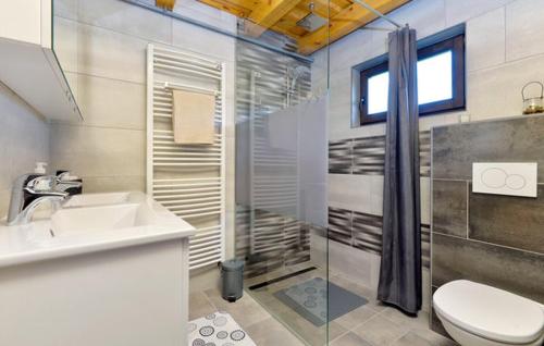 W łazience znajduje się prysznic, toaleta i umywalka. w obiekcie Visija w mieście Sveti Martin na Muri