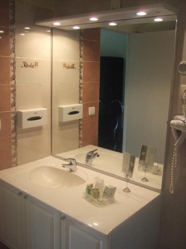 une salle de bain avec un lavabo et un grand miroir dans l'établissement Les Etangs de Guibert, à Neufchâtel-en-Saosnois