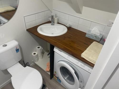 a bathroom with a sink and a washing machine at Ohope Dreamer 1 in Ohope Beach