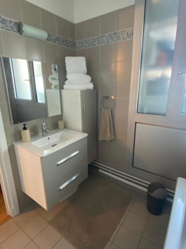une salle de bain avec un lavabo et un miroir dans l'établissement Appartement familial 140 m2 Paris 13, à Paris
