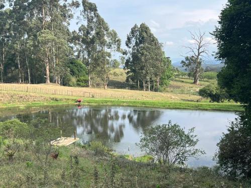 a pond in a field with trees in the background at Newstead Farm - Country Cottages in Curryʼs Post