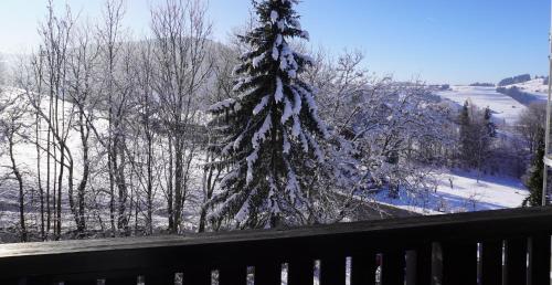 a snow covered christmas tree is seen from a balcony at FeWo AllgäuZeit mit Hallenbad & Sauna & kostenlosem WLAN in Missen-Wilhams